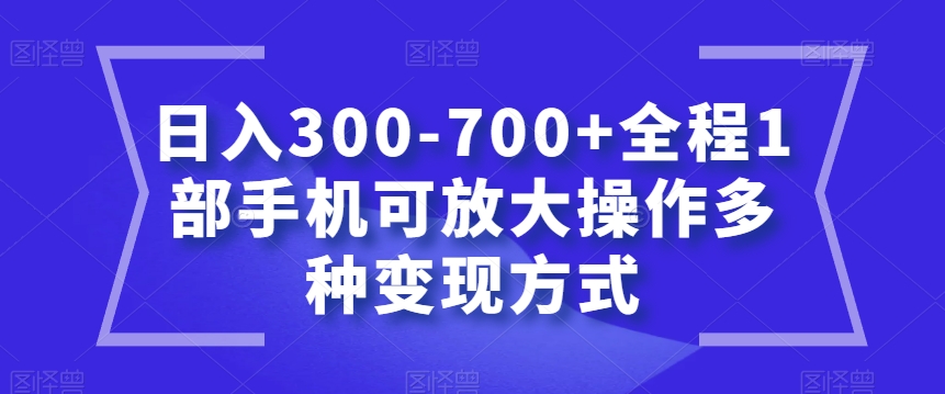 日入300-700+全程1部手机可放大操作多种变现方式【揭秘】-资源云