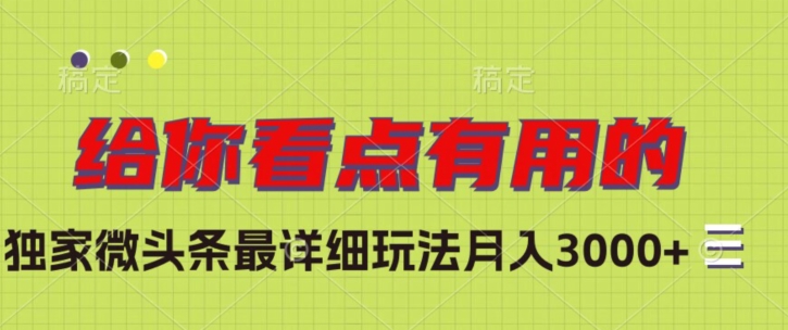 独家微头条最详细玩法，月入3000+【揭秘】-资源云