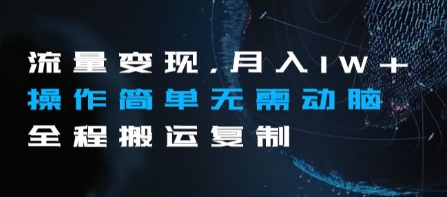 流量变现，月入1W+操作简单无需动脑全程搬运复制【揭秘】-资源云