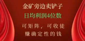 金矿旁边卖铲子,赚确定性的钱,可矩阵,可收徒,日均利润4位数【揭秘】-资源云