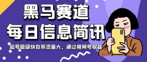 黑马赛道每日信息简讯,起号超级快自带流量大,通过视频号收益【揭秘】-资源云