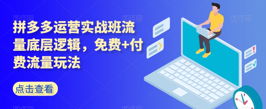 拼多多运营实战班流量底层逻辑，免费+付费流量玩法-资源云
