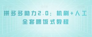 拼多多助力2.0:机刷+人工全套喂饭式教程【揭秘】-资源云