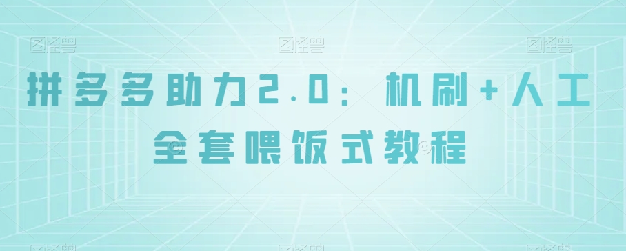 拼多多助力2.0：机刷+人工全套喂饭式教程【揭秘】-资源云