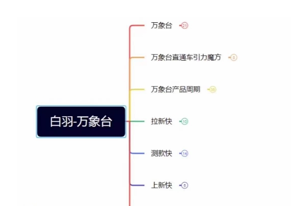 白羽·直引万搜索全篇，从0-1，多个类目实操经验总结付费-资源云