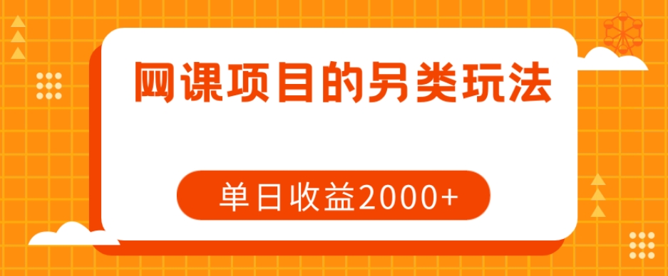 网课项目的另类玩法，单日收益2000+【揭秘】-资源云