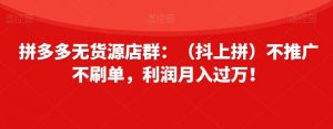 拼多多无货源店群:(抖上拼)不推广不刷单,利润月入过万!【揭秘】-资源云