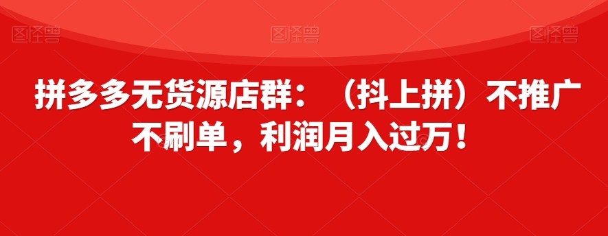 拼多多无货源店群：（抖上拼）不推广不刷单，利润月入过万！【揭秘】-资源云