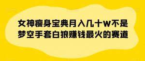 女神瘦身宝典月入几十W不是梦空手套白狼赚钱最火的赛道【揭秘】-资源云