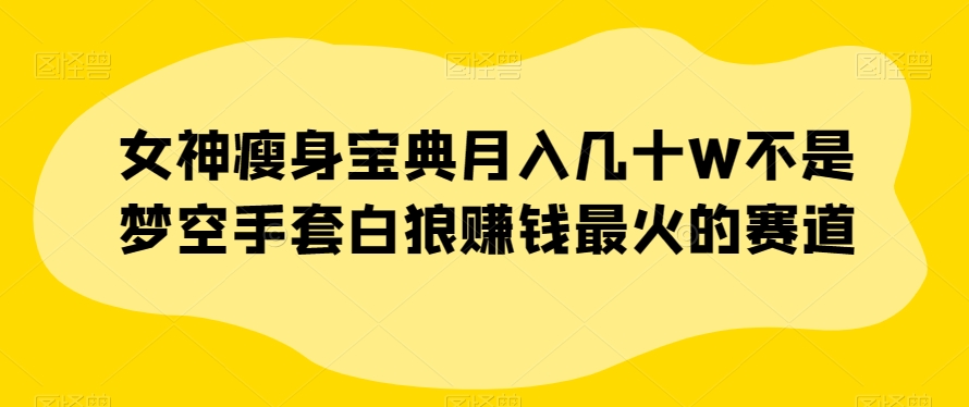 女神瘦身宝典月入几十W不是梦空手套白狼赚钱最火的赛道【揭秘】-资源云