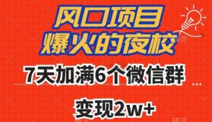 全网首发，爆火的夜校，7天加满6个微信群，变现2w+【揭秘】-资源云