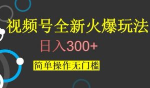 视频号最新爆火玩法，日入300+，简单操作无门槛【揭秘】-资源云