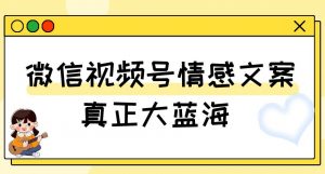视频号情感文案，真正大蓝海，简单操作，新手小白轻松上手（教程+素材）【揭秘】-资源云