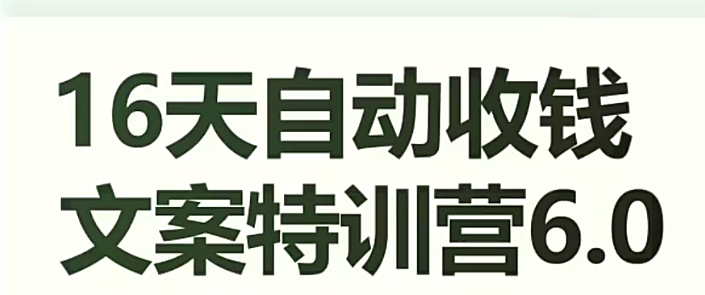16天自动收钱文案特训营6.0，学会儿每天自动咔咔收钱-资源云