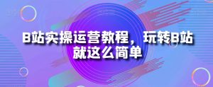 B站实操运营教程，玩转B站就这么简单-资源云