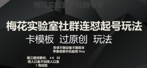 梅花实验室社群连怼起号玩法,卡模板过原创玩法【揭秘】-资源云