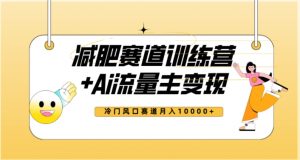 全新减肥赛道AI流量主+训练营变现玩法教程,蓝海冷门赛道小白轻松上手,月入10000+-资源云