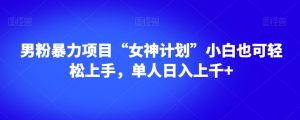 男粉暴力项目“女神计划”小白也可轻松上手,单人日入上千+【揭秘】-资源云