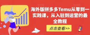 海外版拼多多Temu从零到一实践课,从入驻到运营的最全教程-资源云