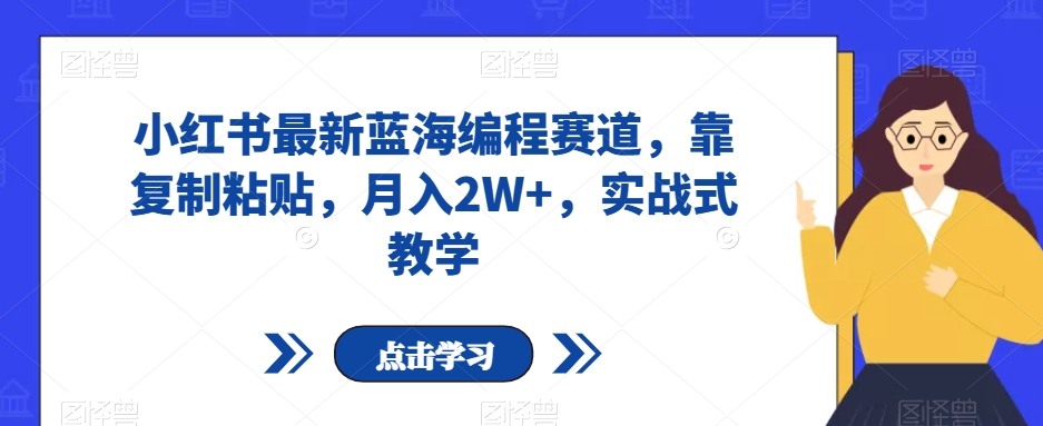 小红书最新蓝海编程赛道，靠复制粘贴，月入2W+，实战式教学【揭秘】-资源云