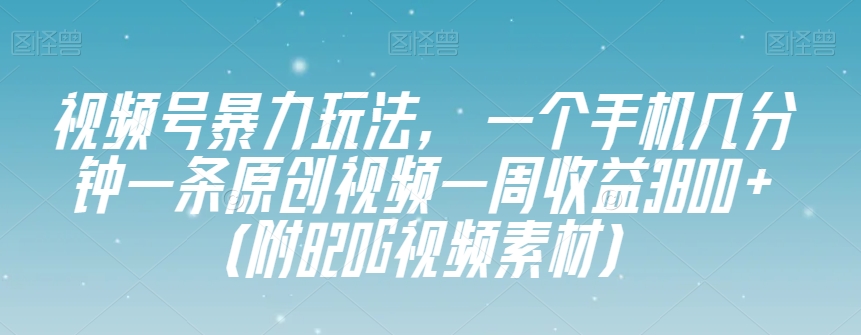 视频号暴力玩法，一个手机几分钟一条原创视频一周收益3800+（附820G视频素材）-资源云
