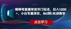 视频号直播带货冷门玩法,日入1000+,小白专属项目,从0到1实战教学【揭秘】-资源云