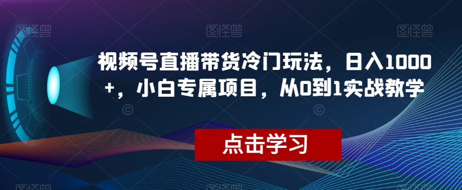 视频号直播带货冷门玩法，日入1000+，小白专属项目，从0到1实战教学【揭秘】-资源云