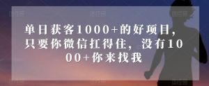 单日获客1000+的好项目,只要你微信扛得住,没有1000+你来找我【揭秘】-资源云