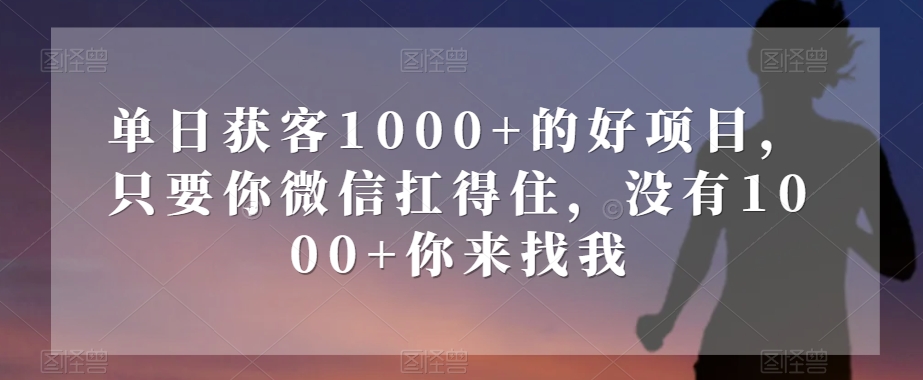 单日获客1000+的好项目，只要你微信扛得住，没有1000+你来找我【揭秘】-资源云