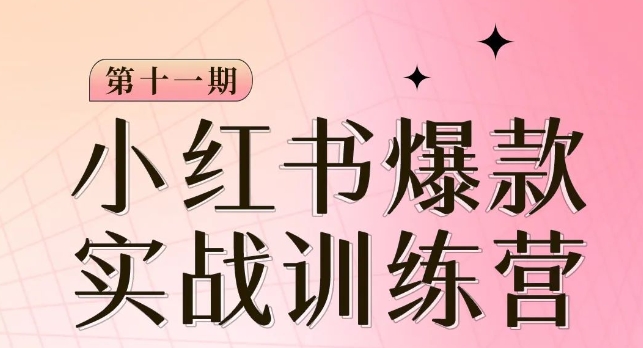 小红书博主爆款训练营第11期，手把手教你从0-1做小红书，从定位到起号到变现-资源云