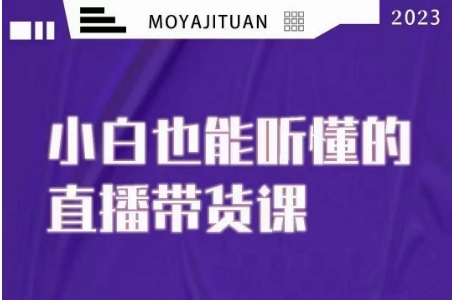 大威本威·能听懂的直播带货课，小白也能听懂，20节完整-资源云