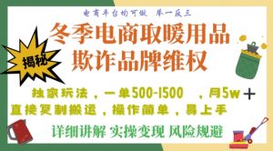 利用电商平台冬季销售取暖用品欺诈行为合理制裁店铺，单日入900+【仅揭秘】-资源云