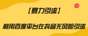 【暴力引流】利用百度平台在抖音无风险引流【揭秘】-资源云