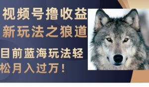 视频号撸收益新玩法之狼道，目前蓝海玩法，轻松月入过万【揭秘】-资源云