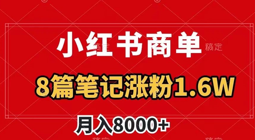 小红书商单最新玩法，8篇笔记涨粉1.6w，作品制作简单，月入8000+【揭秘】-资源云