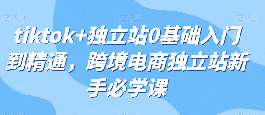 tiktok+独立站0基础入门到精通，跨境电商独立站新手必学课-资源云