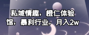 私域情趣，橙仁体验馆，暴利行业，月入2w【揭秘】-资源云