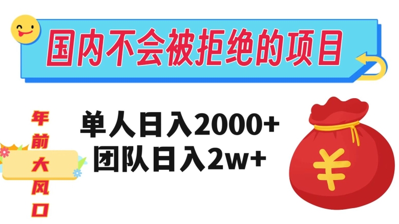 在国内不怕被拒绝的项目，单人日入2000，团队日入20000+【揭秘】-资源云