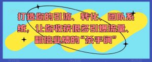 打造你的引流、转化、团队系统,让你收获很多引爆流量、翻倍业绩的“杀手锏”-资源云