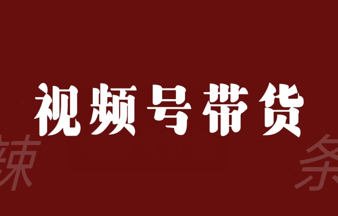 视频号带货联盟，赚信息差的带货钱，只需手机随时随地都可以做！-资源云