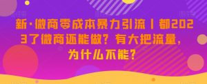 新·微商零成本暴力引流丨都2023了微商还能做?有大把流量,为什么不能?-资源云