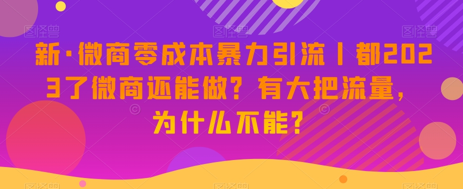 新·微商零成本暴力引流丨都2023了微商还能做？有大把流量，为什么不能？-资源云