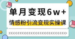 单月变现6W+,抖音情感粉引流变现实操课,小白可做,轻松上手,独家赛道【揭秘】-资源云
