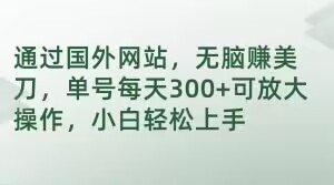 通过国外网站，无脑赚美刀，单号每天300+可放大操作，小白轻松上手【揭秘】-资源云