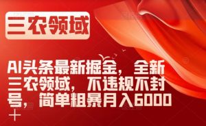 AI头条最新掘金,全新三农领域,不违规不封号,简单粗暴月入6000+【揭秘】-资源云
