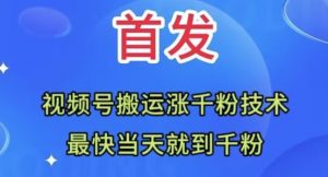 全网首发:视频号无脑搬运涨千粉技术,最快当天到千粉【揭秘】-资源云