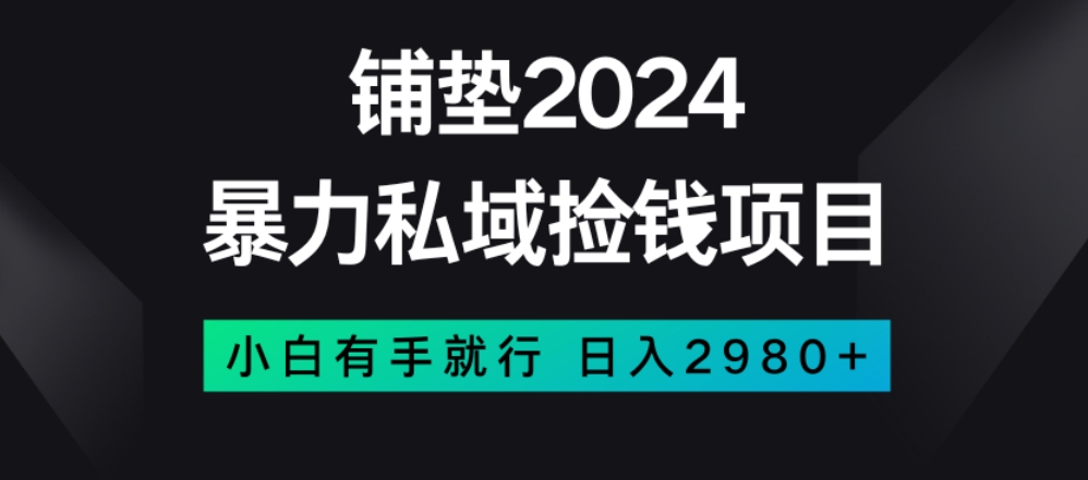 暴力私域捡钱项目，小白无脑操作，日入2980【揭秘】-资源云
