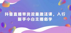 抖音直播带货流量激活课,入行新手小白主播必学-资源云