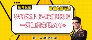 数据号回归玩法游戏试玩搬砖项目再创日入500+【揭秘】-资源云