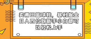 卖莆田篮球鞋,暴利掘金日入四位数新手小白都可以轻松上手【揭秘】-资源云